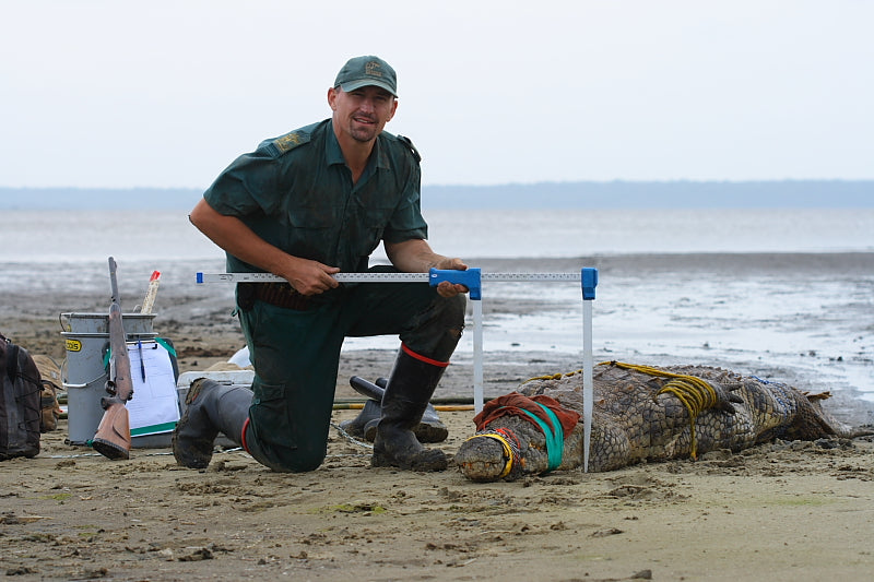 Haglof Sweden Mantax Blue Caliper - Measuring Wildlife