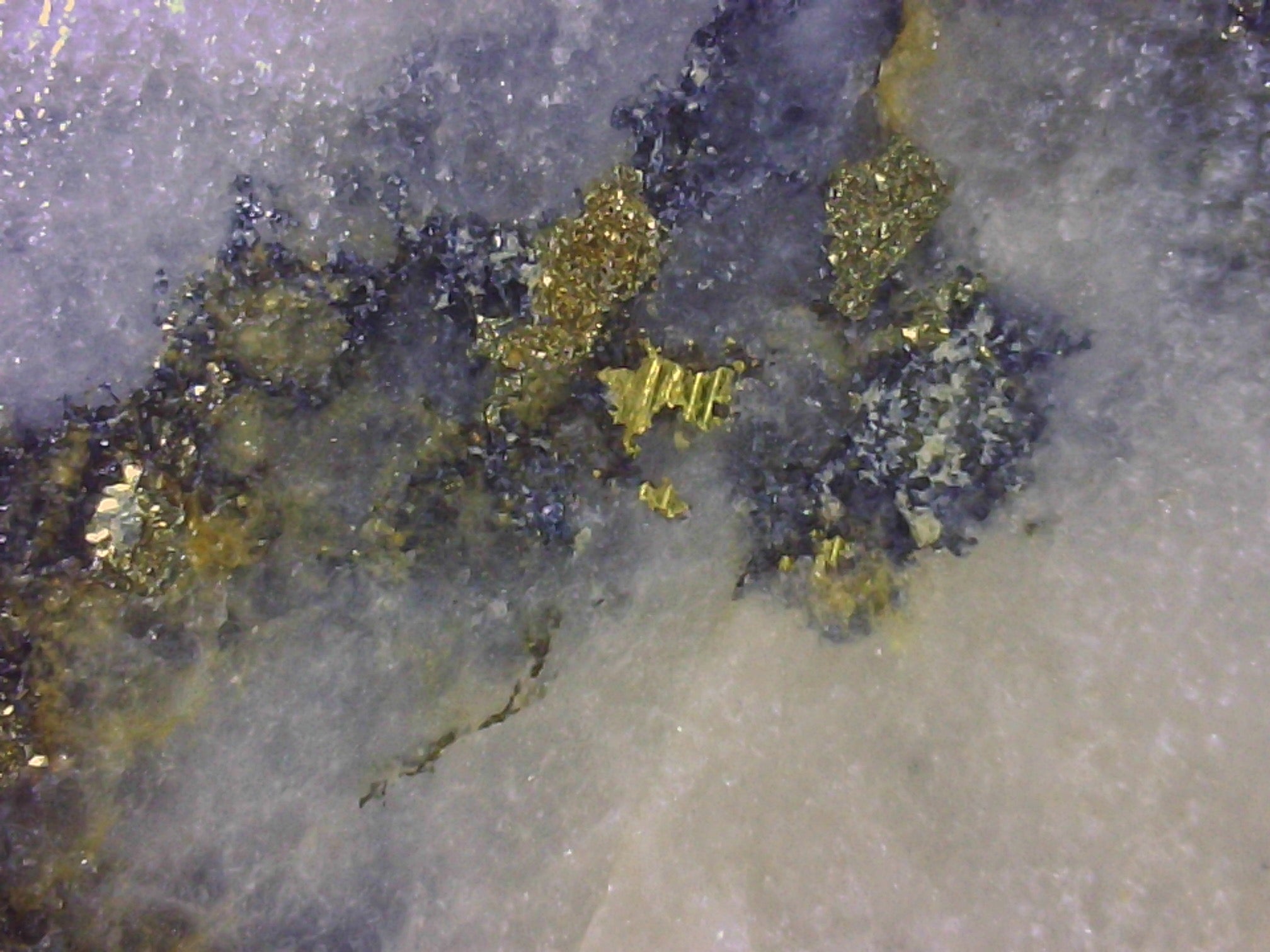 Close-up of gold and black mineral crystals on a gray background