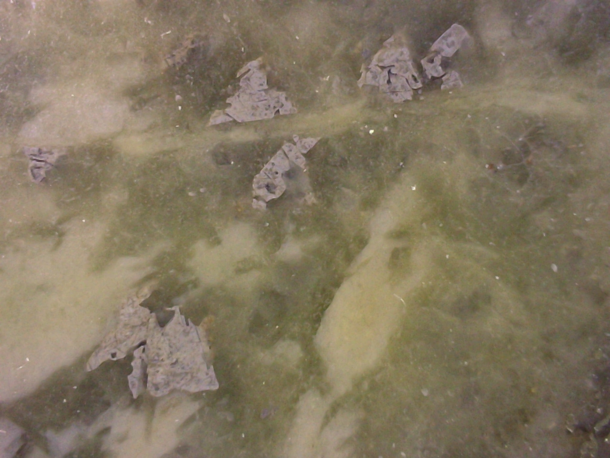 Prospectors Digital Hand Lens Sample Shot 6