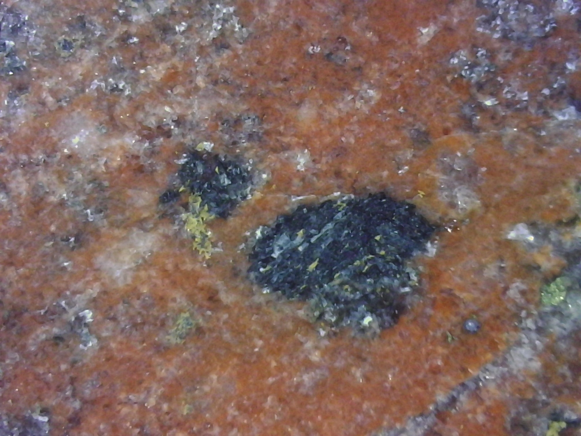 Prospectors Digital Hand Lens Sample Shot 6 of a red, black and brown mineral sample