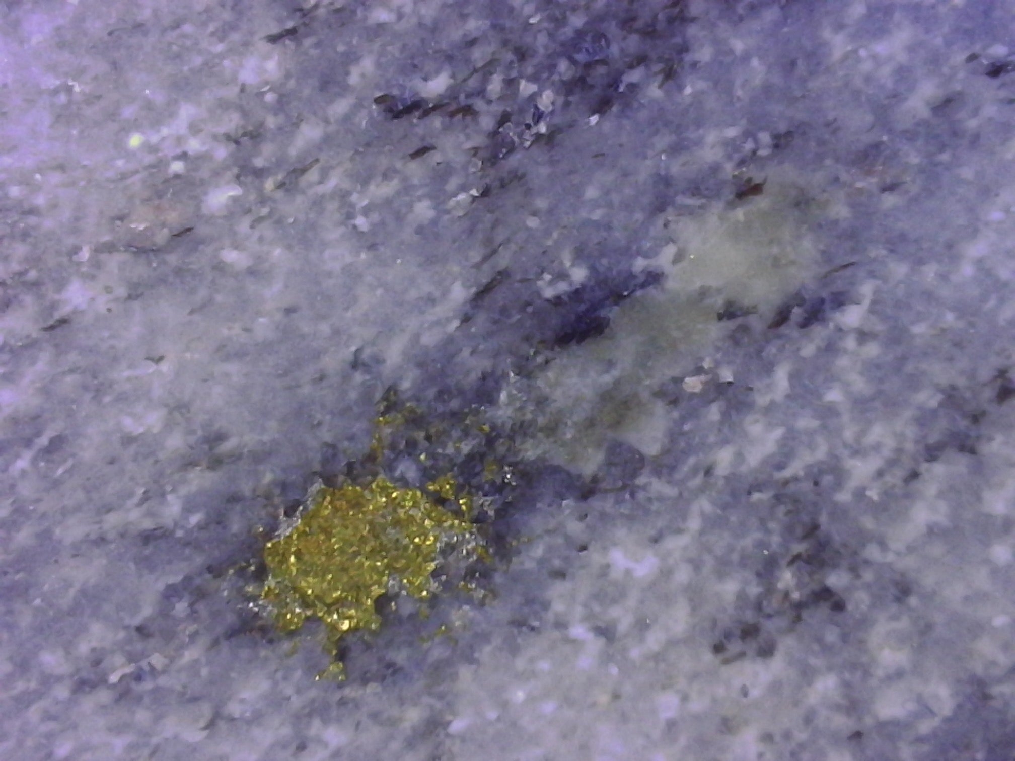 Prospectors Digital Hand Lens Sample Shot of gold deposit