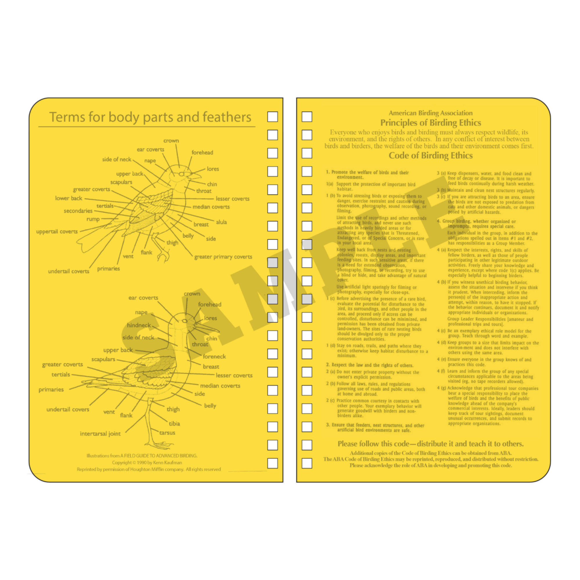 Yellow card with bird anatomy diagram and text on a white background