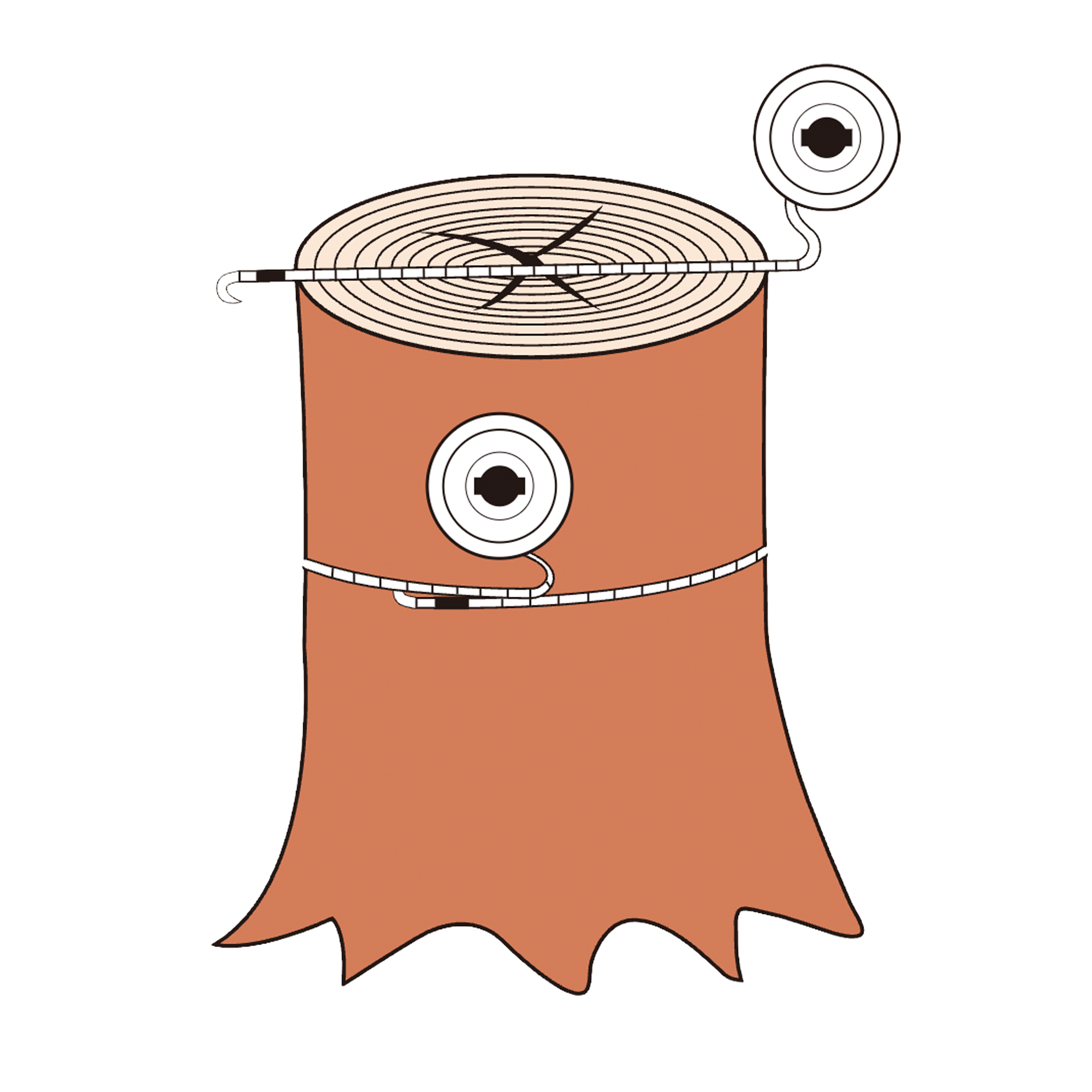 Illustration of a tree stump measuring the width and diameter