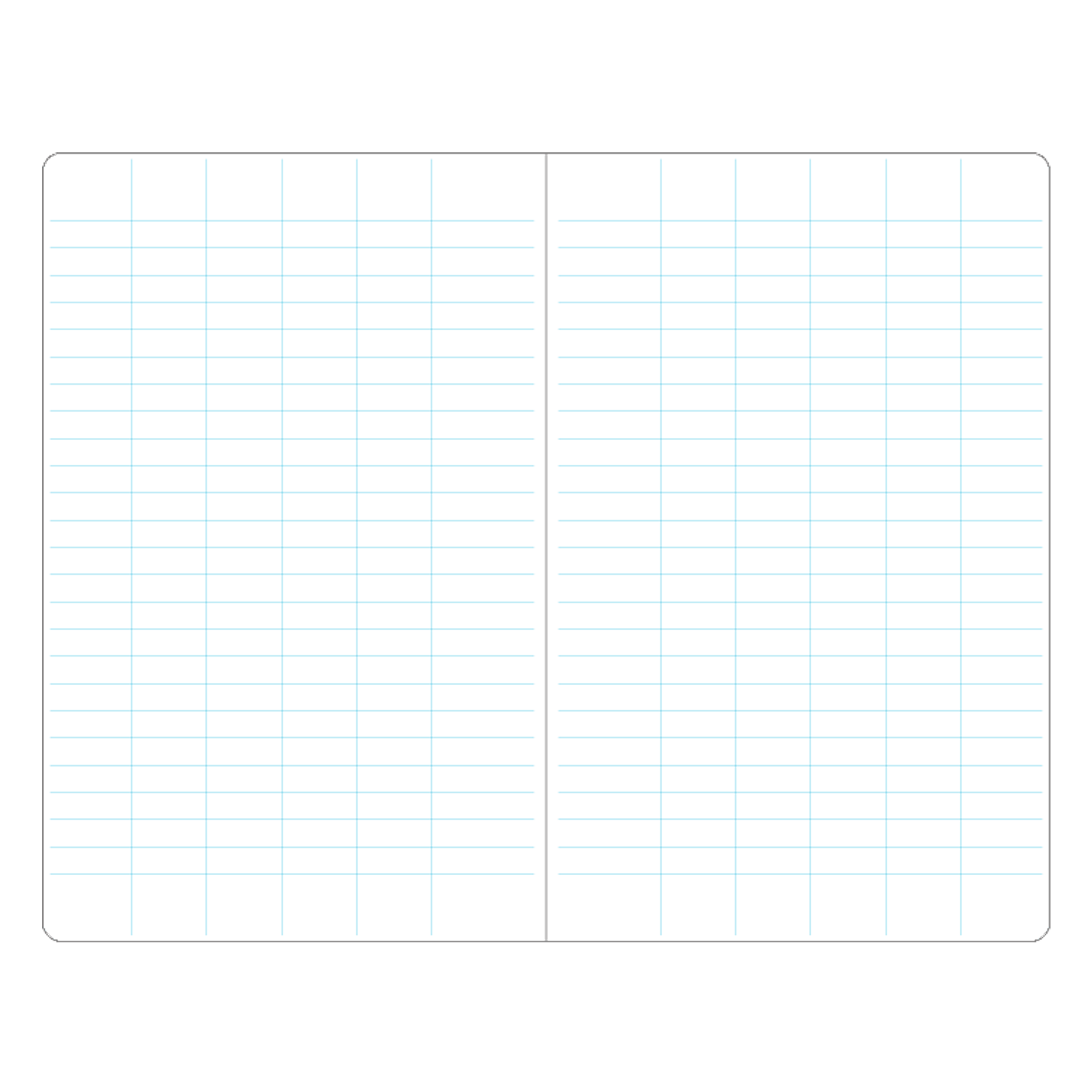 A white double-sided grid layout with light blue horizontal and vertical lines.