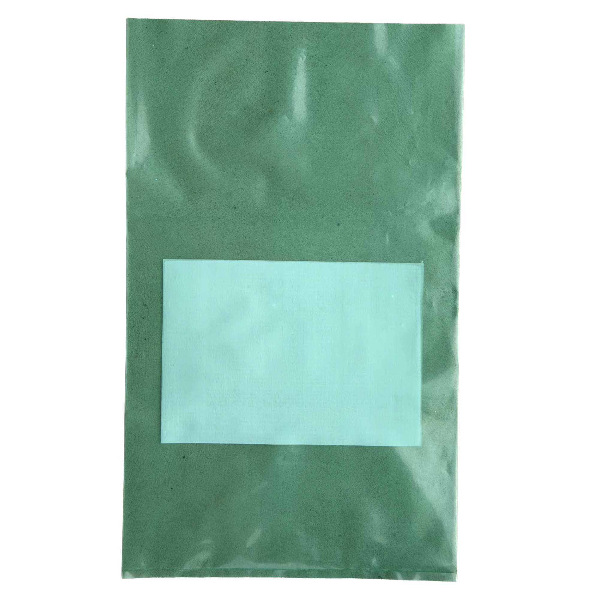 Green transparent bag with a white label on a white background
