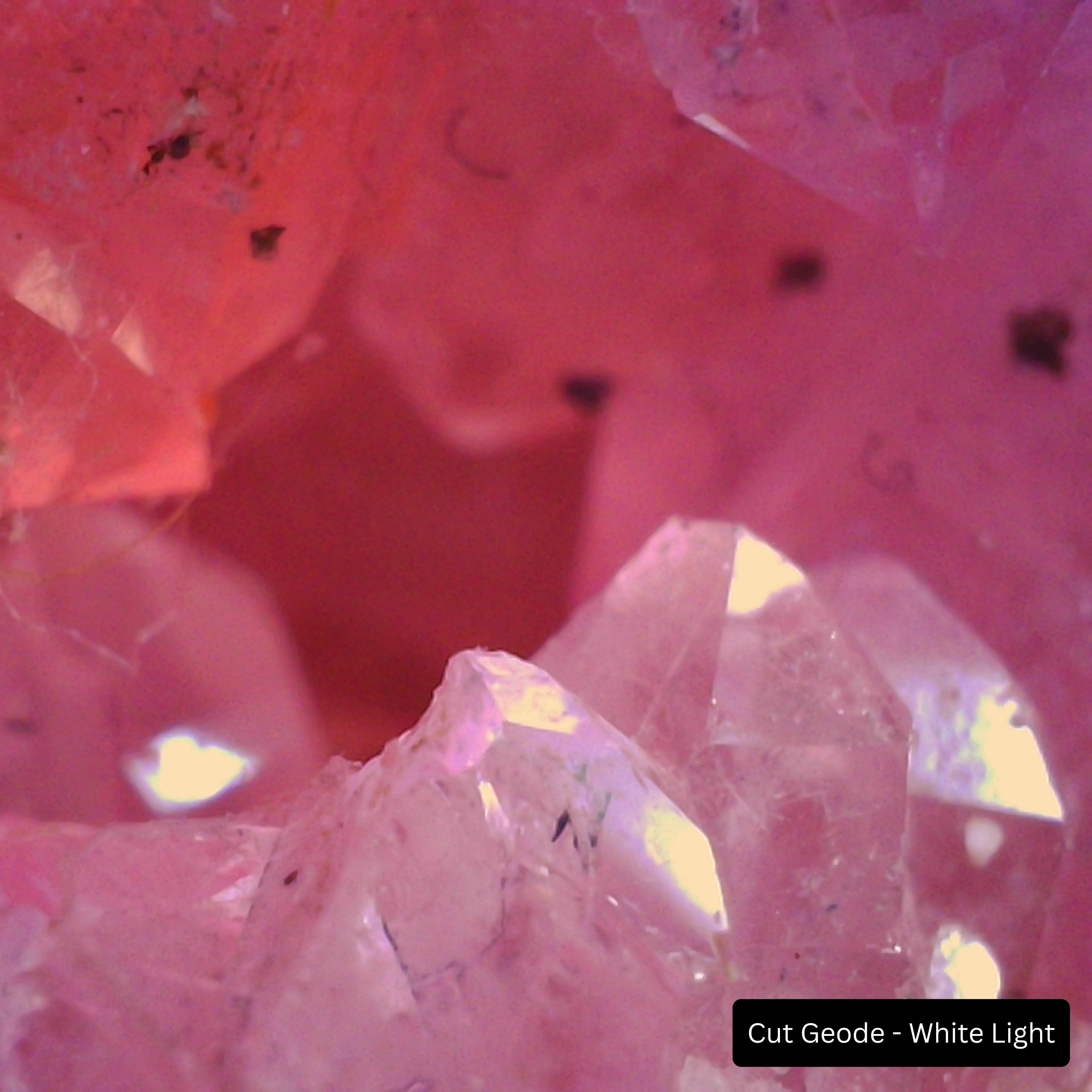 Prospectors Digital Hand Lens - Cut Geode with White Light