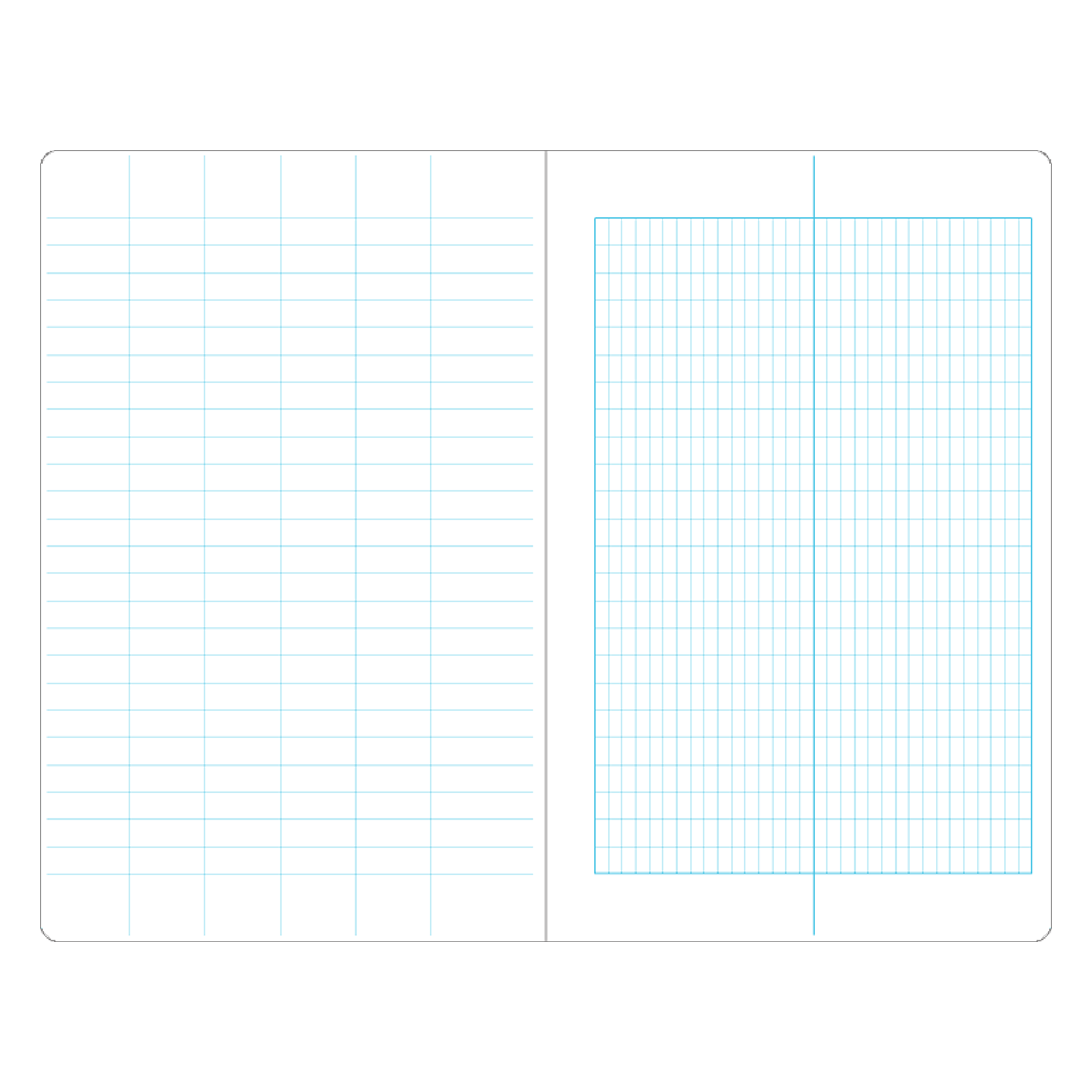 A grid notebook layout with light blue graph lines on a white background